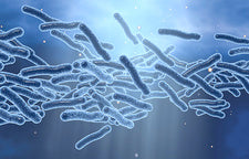 What is Legionnaires’ Disease and how can I avoid it?