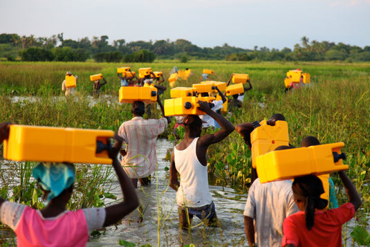 Haitian villagers carrying yellow jerrycans across a flooded meadow